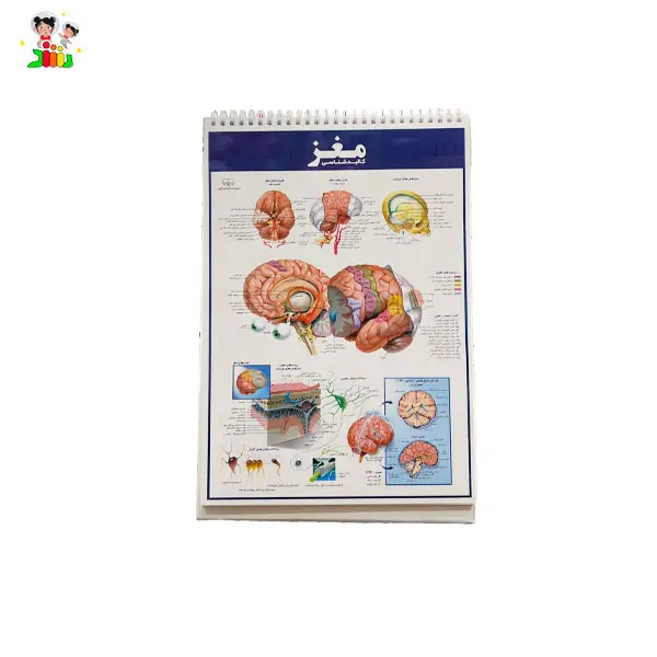 کتاب اطلس کالبد شناسی(آناتومی) بدن انسان | اندیشه کهن